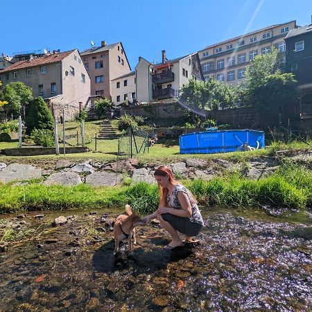 Urlaubstraum Mit Pool, Terrasse & Fluss Im Garten - Ut Apartman Sebnitz Kültér fotó