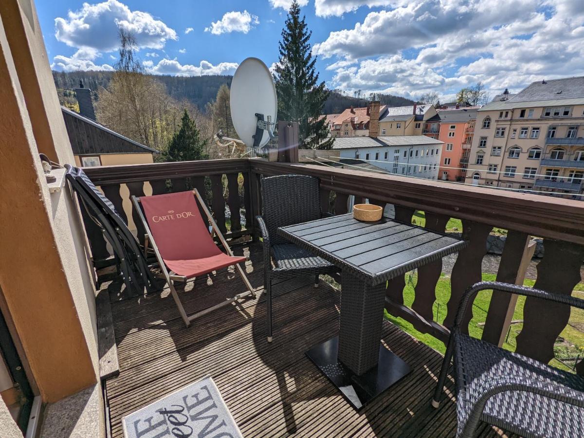 Urlaubstraum Mit Pool, Terrasse & Fluss Im Garten - Ut Apartman Sebnitz Kültér fotó