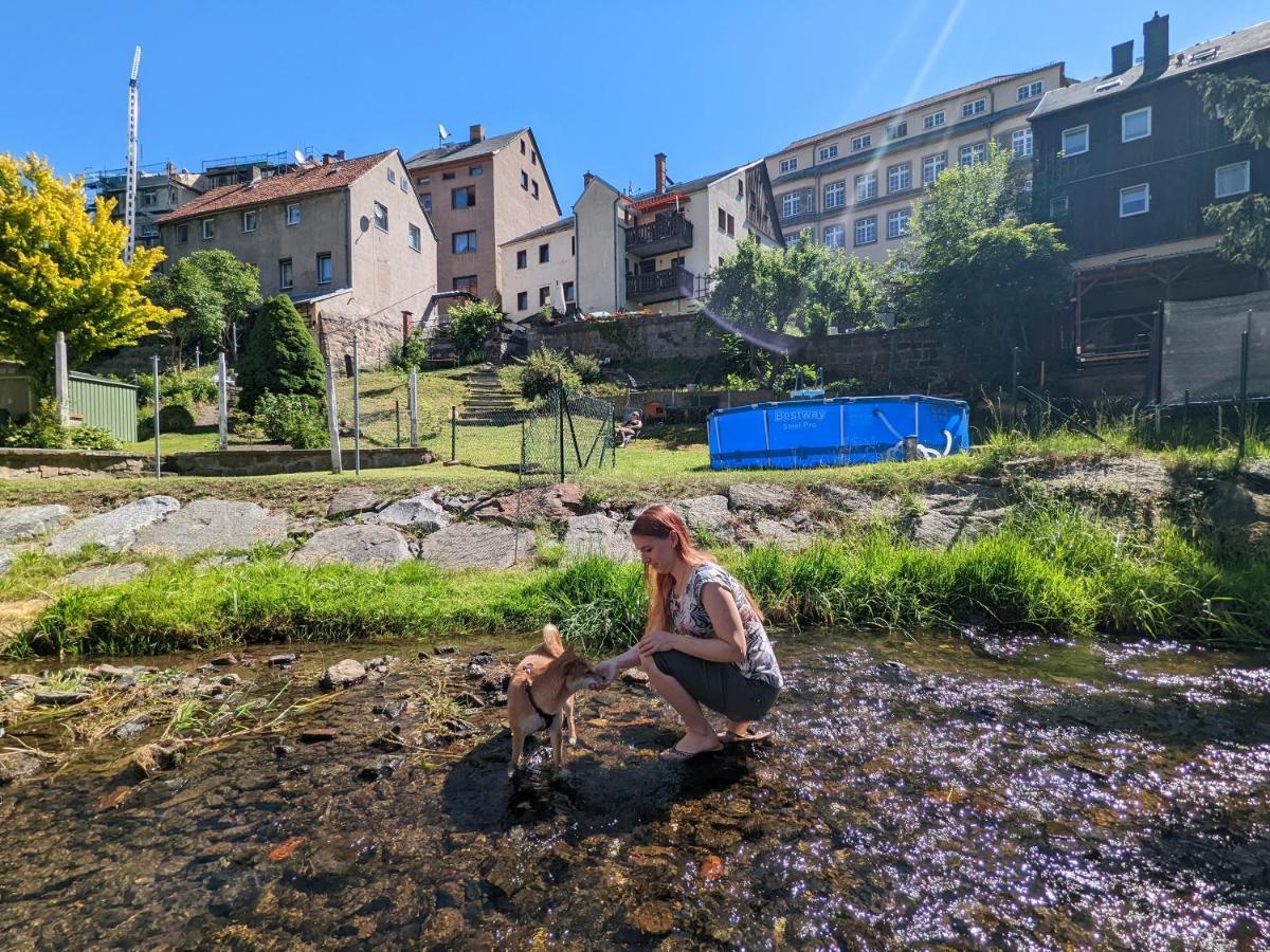 Urlaubstraum Mit Pool, Terrasse & Fluss Im Garten - Ut Apartman Sebnitz Kültér fotó