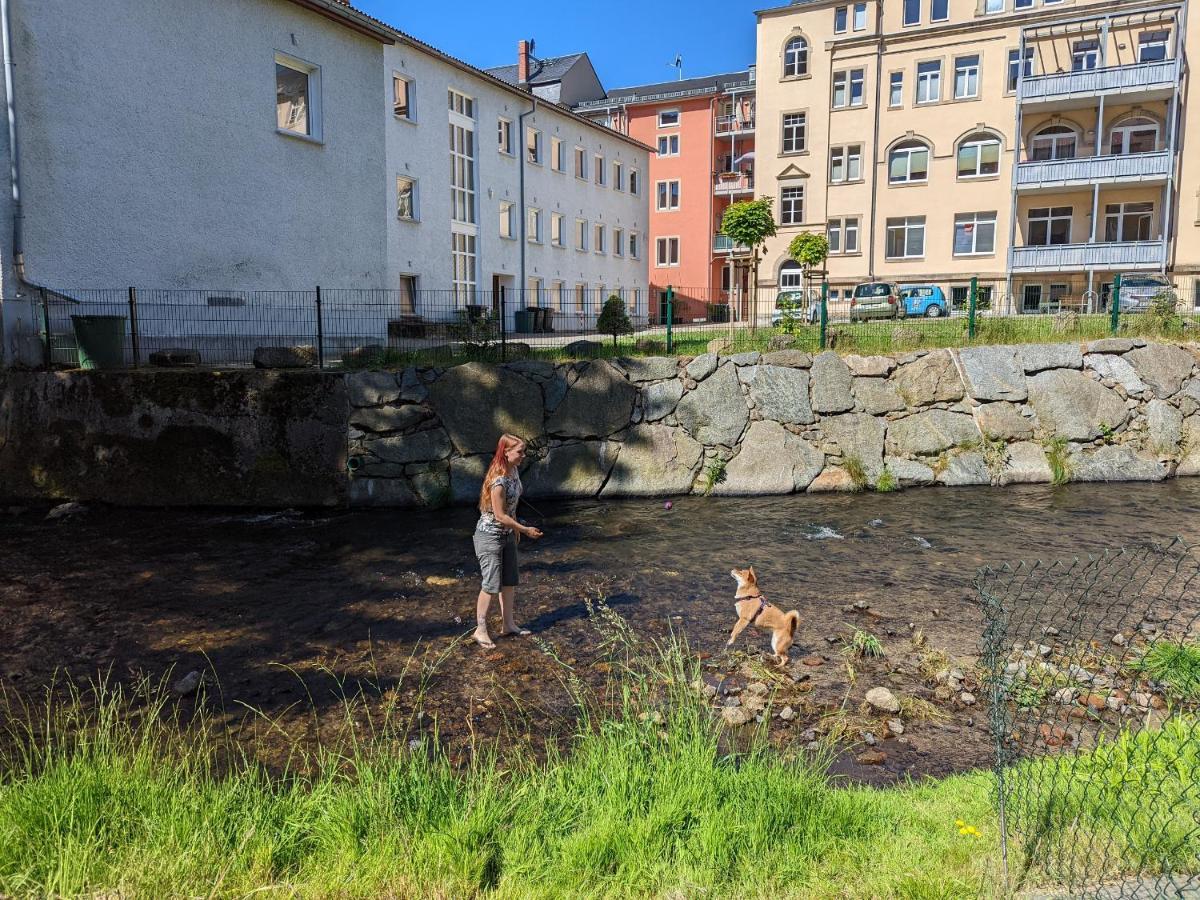 Urlaubstraum Mit Pool, Terrasse & Fluss Im Garten - Ut Apartman Sebnitz Kültér fotó