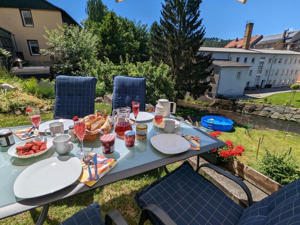Urlaubstraum Mit Pool, Terrasse & Fluss Im Garten - Ut Apartman Sebnitz Kültér fotó