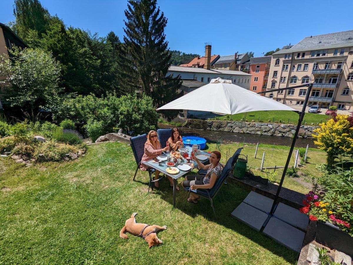 Urlaubstraum Mit Pool, Terrasse & Fluss Im Garten - Ut Apartman Sebnitz Kültér fotó