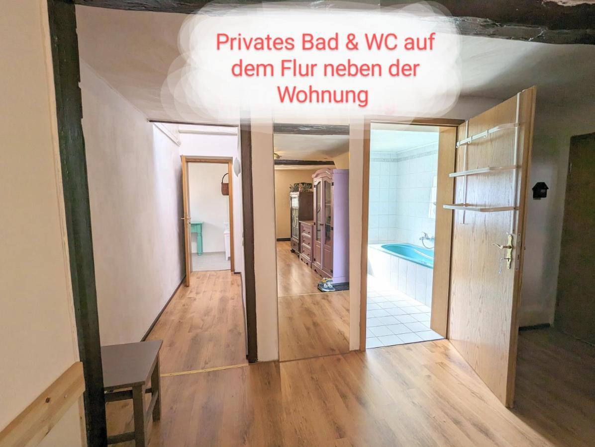 Urlaubstraum Mit Pool, Terrasse & Fluss Im Garten - Ut Apartman Sebnitz Kültér fotó